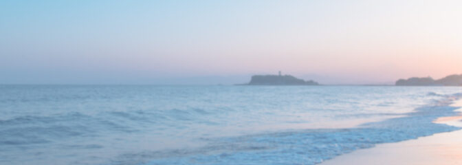 こだわりのウィッグは「人毛100％」