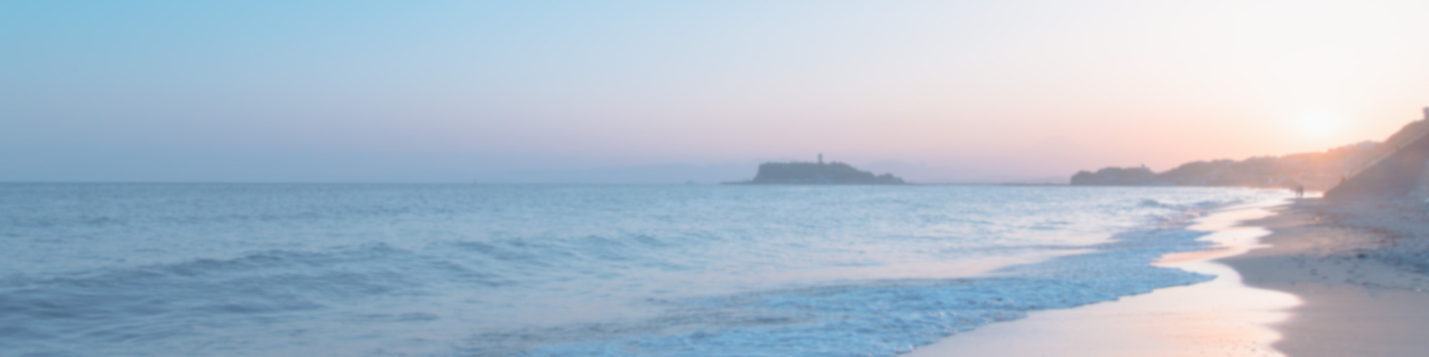 こだわりのウィッグは「人毛100％」