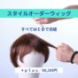 スタイルオーダー／＋plus（プラス）モデル